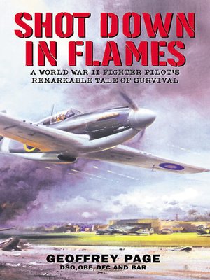 cover image of Shot Down in Flames